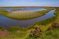 K20D3400 edited-1 : 3 Stars, RAW, Keyhaven