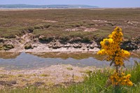 K20D3404 edited-1 : 3 Stars, RAW, Keyhaven