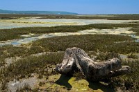 K20D3406 edited-1 : 3 Stars, RAW, Keyhaven