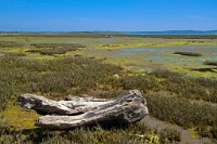 K20D3407 edited-1 : 3 Stars, RAW, Keyhaven