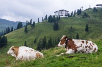 PK5 1848 : 3 Stars, High Quality, In Focus, Kitzbuhel, RAW