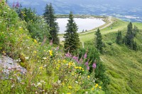 PK5 1855 : 3 Stars, High Quality, In Focus, Kitzbuhel, RAW