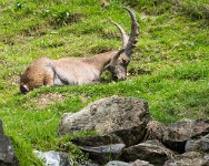 PK5 1879 : 3 Stars, High Quality, In Focus, Kitzbuhel, Low Contrast, RAW