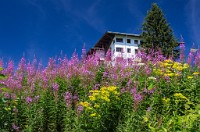 PK5 1973 : 3 Stars, High Quality, In Focus, Kitzbuhel, Low Contrast, RAW