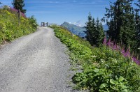 PK5 1975 : 3 Stars, High Quality, In Focus, Kitzbuhel, RAW