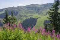 PK5 1976 : 3 Stars, High Quality, In Focus, Kitzbuhel, RAW