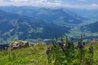 PK5 2112 : 3 Stars, High Quality, In Focus, Kitzbuhel, RAW