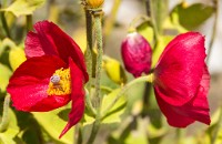 PK5 2121 : 4 Stars, High Quality, In Focus, Kitzbuhel, Long Shot, One Face, RAW