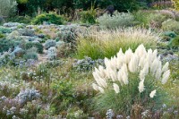 K20D5590 edited-1 : 3 Stars, RAW, Lymington