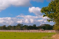 K20D5595 edited-1 : 3 Stars, RAW, Lymington