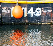 K20D5619 edited-1 : 4 Stars, RAW, Lymington