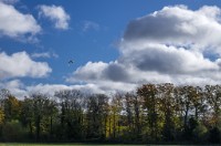 PK5 2577 : 3 Stars, High Quality, In Focus, Mott Autumn 2012, RAW