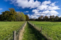 PK5 2579 : 3 Stars, High Quality, In Focus, Mott Autumn 2012, RAW