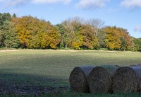 PK5 2583 : 3 Stars, High Quality, In Focus, Mott Autumn 2012, RAW