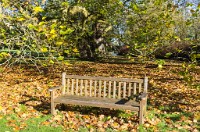 PK5 2594 : 3 Stars, High Quality, In Focus, Mott Autumn 2012, RAW