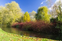 PK5 2598 : 4 Stars, High Quality, In Focus, Mott Autumn 2012, RAW