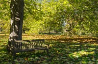 PK5 2607 : 4 Stars, High Quality, In Focus, Mott Autumn 2012, RAW