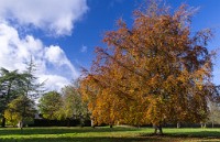 PK5 2612 : 3 Stars, High Quality, In Focus, Mott Autumn 2012, RAW