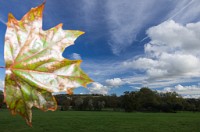 PK5 2639 : 3 Stars, High Quality, In Focus, Mott Autumn 2012, RAW