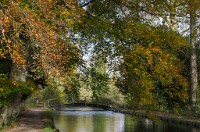 PK5 2643 : 3 Stars, High Quality, In Focus, Mott Autumn 2012, RAW