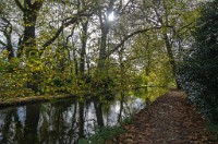 PK5 2649 : 3 Stars, High Quality, In Focus, Mott Autumn 2012, RAW