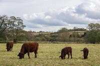 PK5 2653 : 3 Stars, High Quality, In Focus, Mott Autumn 2012, RAW