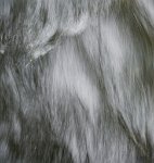 DSC0730 : 3 Stars, Mottisfont Summer 2020 Den, RAW