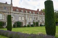 DSC0752 : 3 Stars, Mottisfont Summer 2020 Den, RAW