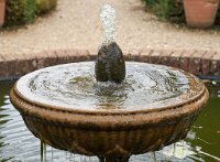 DSC0779 : 3 Stars, Mottisfont Summer 2020 Den, RAW