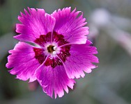 K20D6830 edited-1 : 4 Stars, Blurred, Low Contrast, High Quality, RAW, Mottisfont Abbey