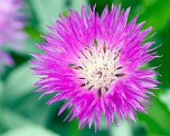 K20D6843 edited-1 : 4 Stars, In Focus, High Quality, RAW, Mottisfont Abbey