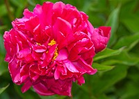 K20D6897 edited-1 : 3 Stars, In Focus, Low Contrast, High Quality, RAW, Mottisfont Abbey