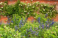 K20D6931 edited-1 : 3 Stars, In Focus, High Quality, RAW, Mottisfont Abbey