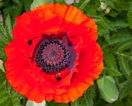 K20D6941 edited-1 : 4 Stars, In Focus, Low Contrast, High Quality, RAW, Mottisfont Abbey