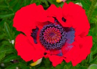 K20D6942 edited-1 : 4 Stars, In Focus, Low Contrast, High Quality, RAW, Mottisfont Abbey