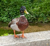 K20D6952 edited-1 : 4 Stars, In Focus, High Quality, RAW, Mottisfont Abbey