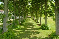 K20D6963 edited-1 : 3 Stars, In Focus, One Face, Long Shot, High Quality, RAW, Mottisfont Abbey