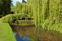 K20D6973 edited-1 : 3 Stars, In Focus, High Quality, RAW, Mottisfont Abbey