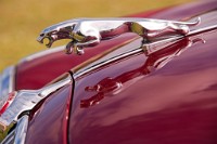 K20D1862 edited-1 : 4 Stars, RAW, Pagent Of Motoring 2009