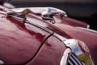 K20D1863 edited-1 : 4 Stars, RAW, Pagent Of Motoring 2009