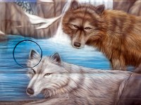 K20D1890 edited-1 : 4 Stars, RAW, Pagent Of Motoring 2009