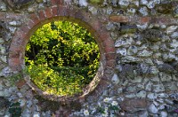 PK5 2285 : High Quality, In Focus, Low Contrast, Polesden Lacey, RAW