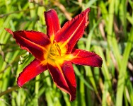 PK5 2296 : High Quality, In Focus, Long Shot, One Face, Polesden Lacey, RAW