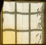 PK5 2303 : Blurred, High Quality, Polesden Lacey, RAW