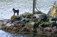 DSC7459 : 3 Stars, Norway, Sognefjord Bergen, RAW