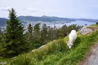 DSC7477 : 3 Stars, Norway, Sognefjord Bergen, RAW