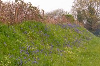 K20D3273 edited-1 : 3 Stars, RAW, Spring 2010