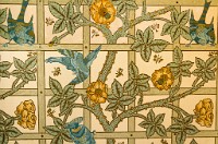 PK5 2505 : 3 Stars, High Quality, In Focus, Low Contrast, RAW, Standen