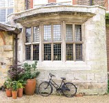 PK5 2509 : 3 Stars, High Quality, In Focus, RAW, Standen