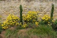 PK5 2510 : 3 Stars, High Quality, In Focus, RAW, Standen